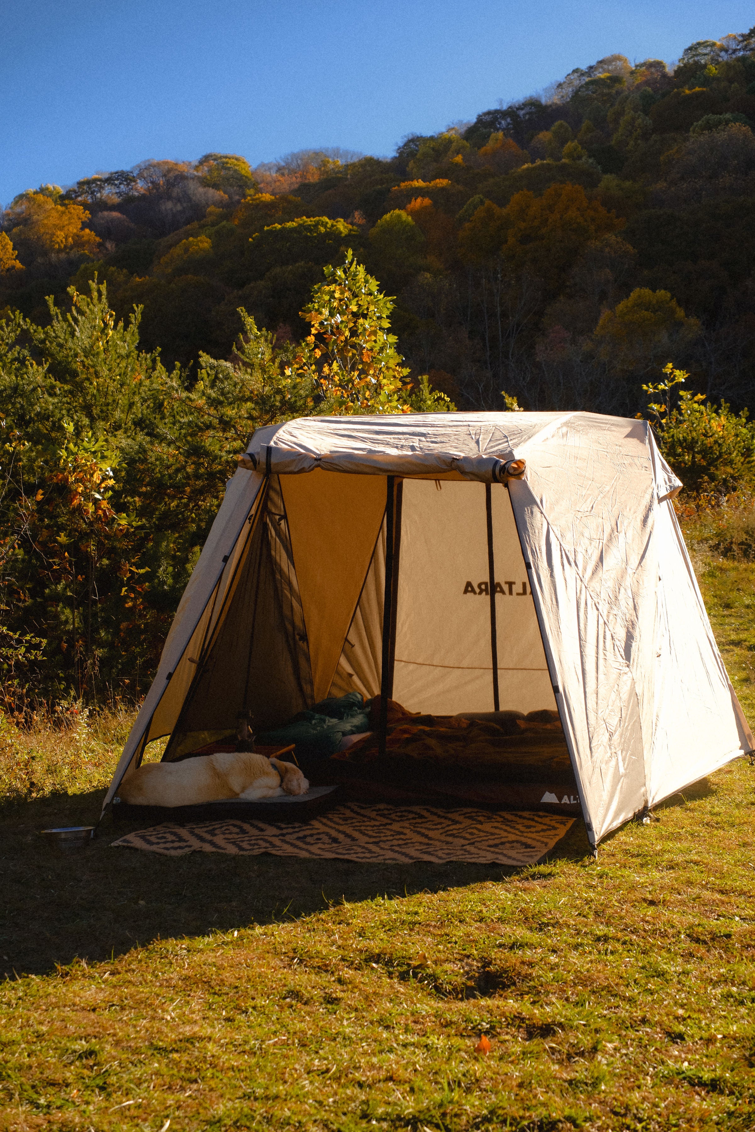 Arcadia 4P - Dual-Awning Modular Camping Tent